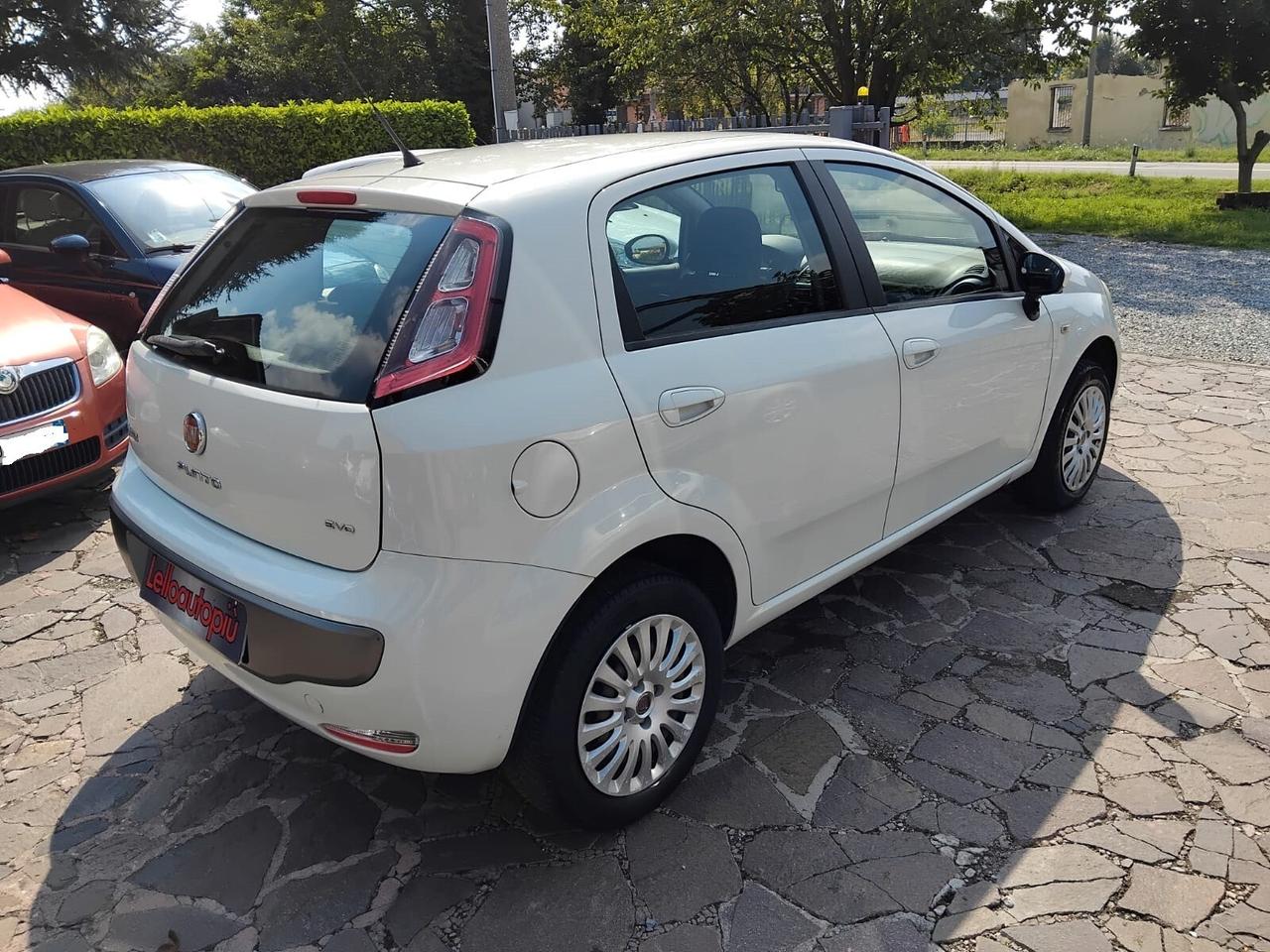 Fiat Punto Evo 1.4 5 porte Dynamic Natural Power