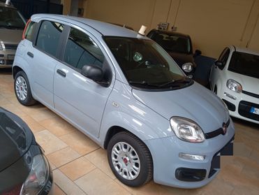 Fiat Panda 1.2 Lounge finanziabile valuto permute