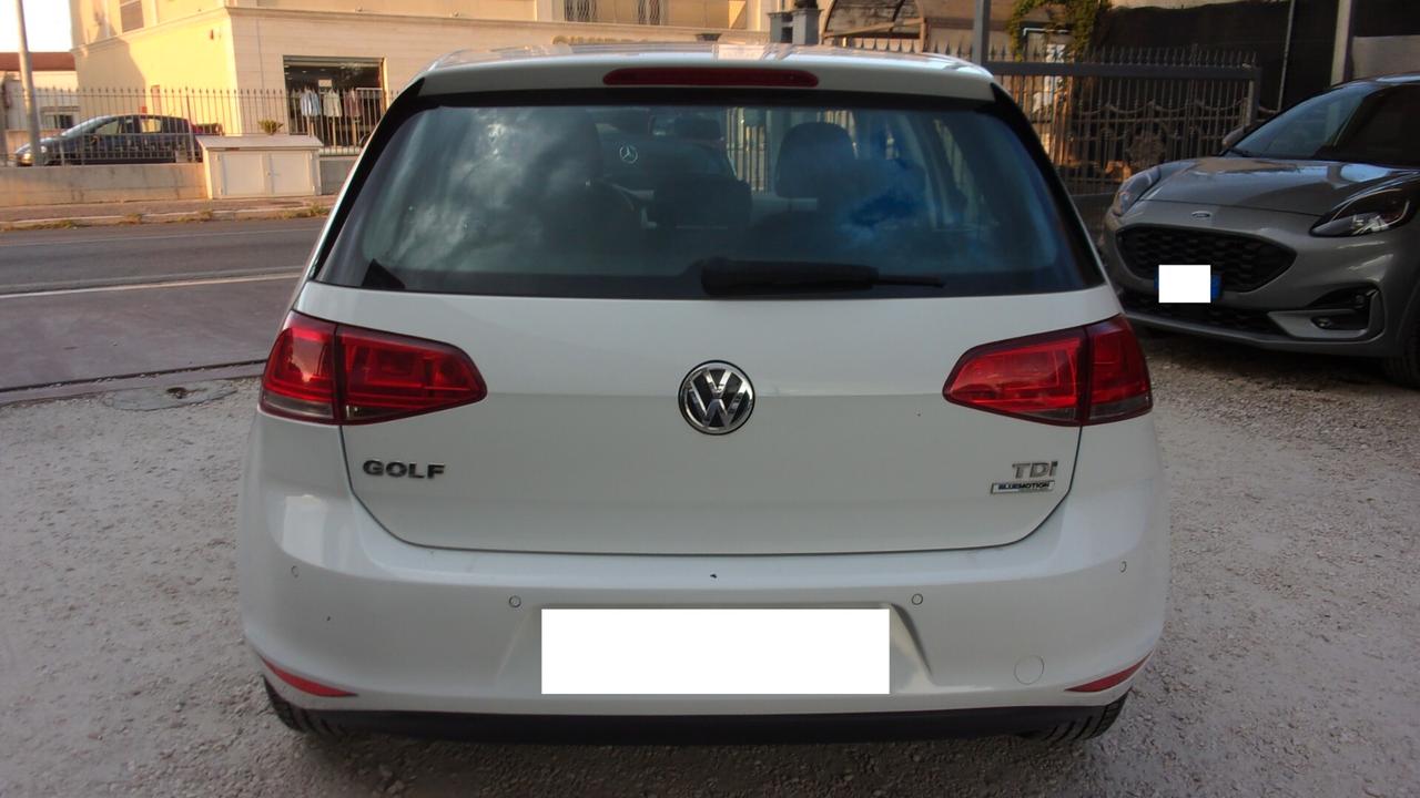 Volkswagen Golf 1.6 TDI 90 CV 5p. Business Trendline BlueMotion Tech.