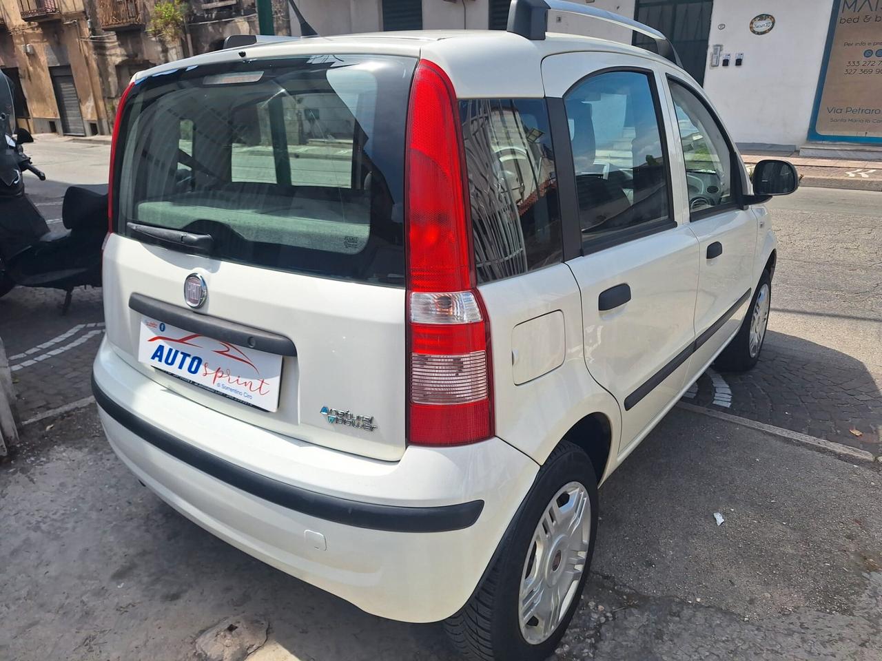 Fiat Panda 1.4 Natural Power Van Active 2 posti
