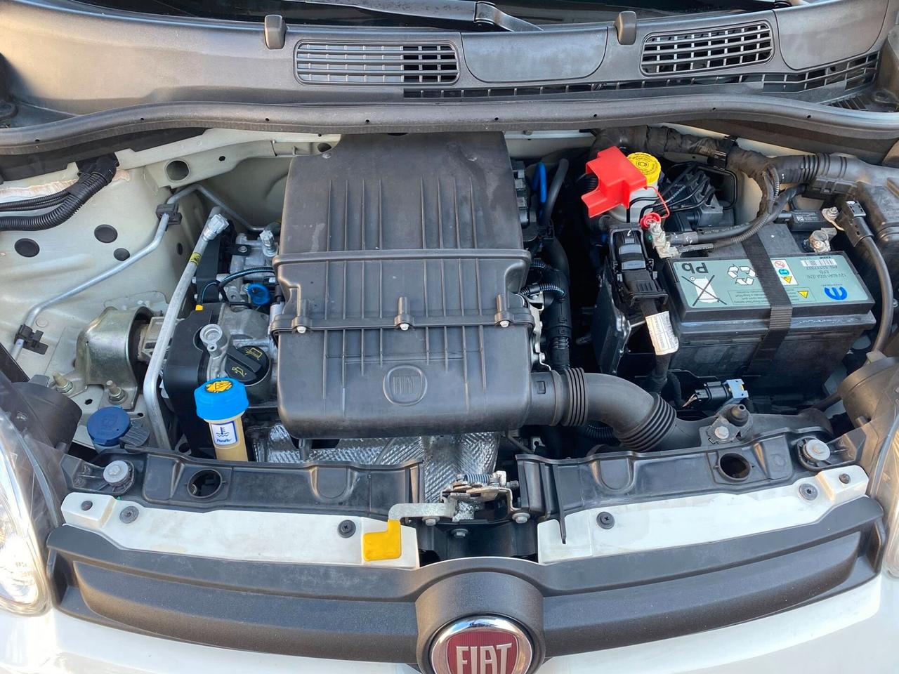 FIAT PANDA EASY 1.2cc IDONEA NEOPATENTATI