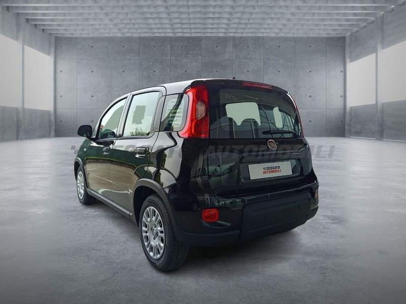 FIAT Panda Panda 1.0 70cv Hybrid Panda