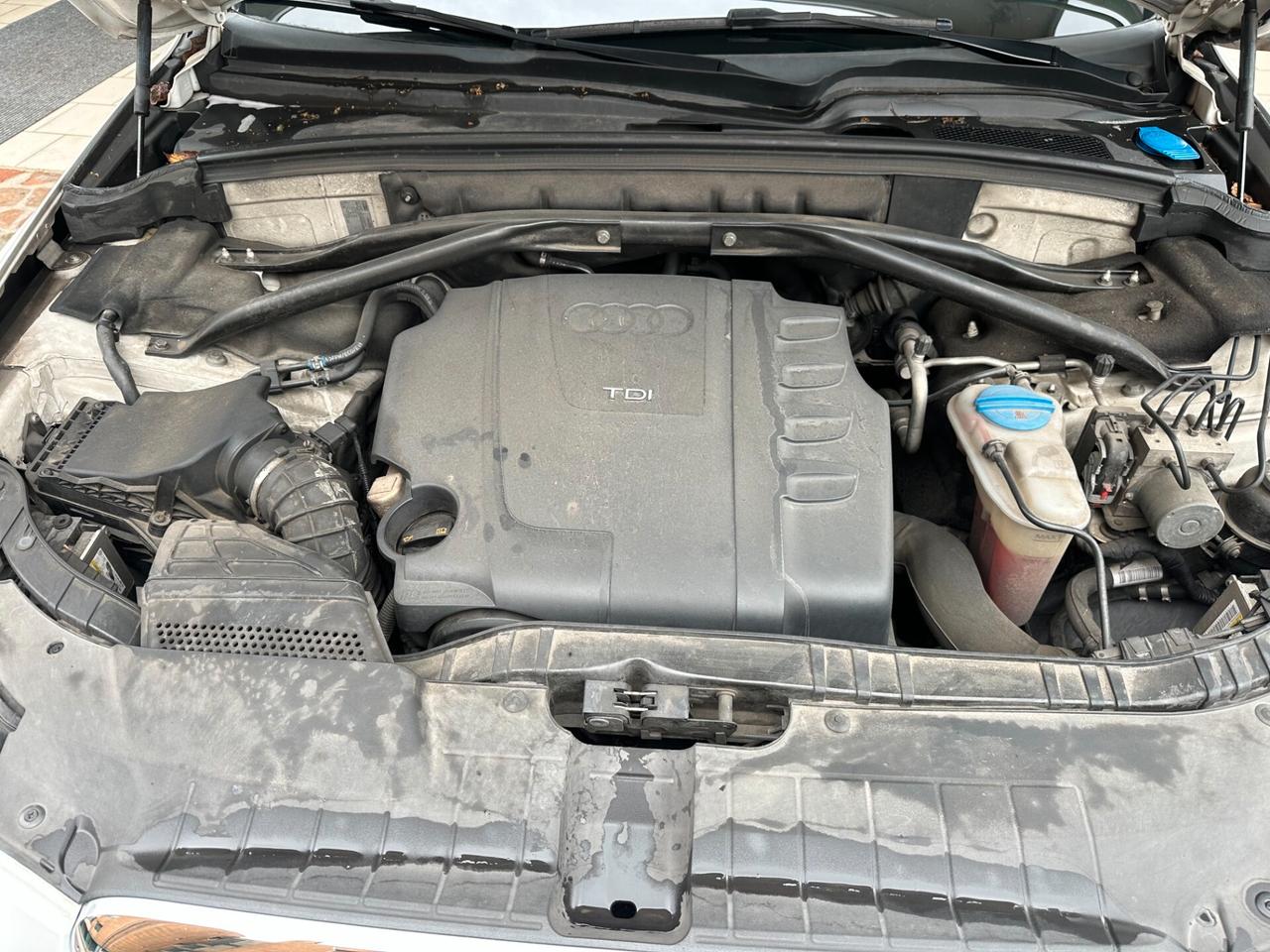 Audi Q5 2.0 TDI 170 CV quattro S tronic