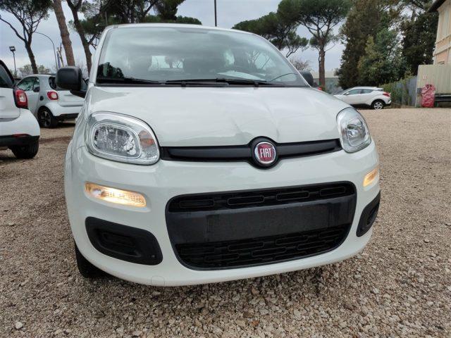 FIAT Panda 1.2 69cv GPL CLIMATIZZATORE OK NEOPATENTATI