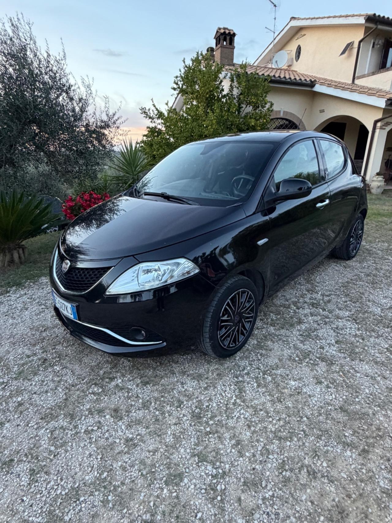 Lancia Ypsilon 1.2 69 CV 5 porte S&S Platinum