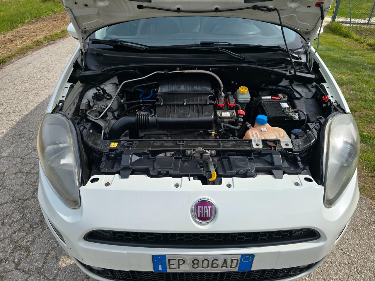 Fiat Punto EVO 1.4 Natur Powver con GARANZIA-NEOPATENTATI