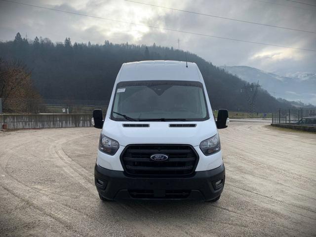 FORD Transit 350 2.0TDCi EcoBlue 170CV PL-TM Furgone Trend