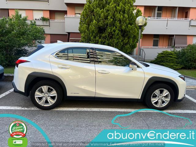LEXUS UX 250h UX Hybrid Business UNICO PROPRIETARIO TAGLIANDATA