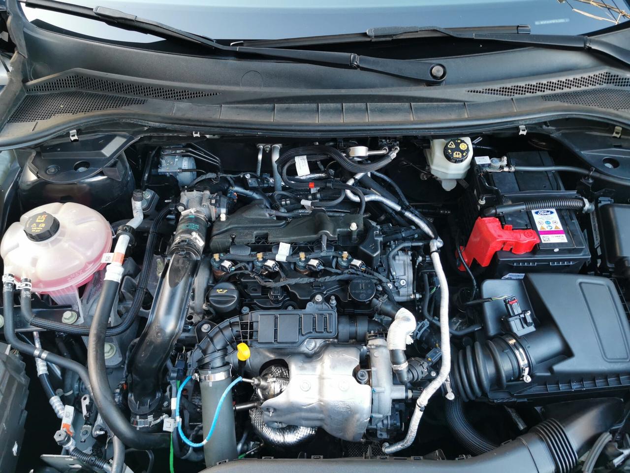 Ford Kuga 1.5 Ecoblue 120cv St-Line