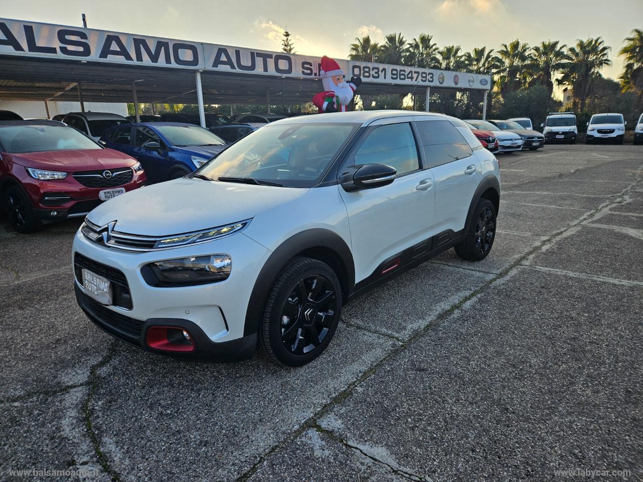 CITROEN C4 Cactus BlueHDi 100 S&S Shine N1