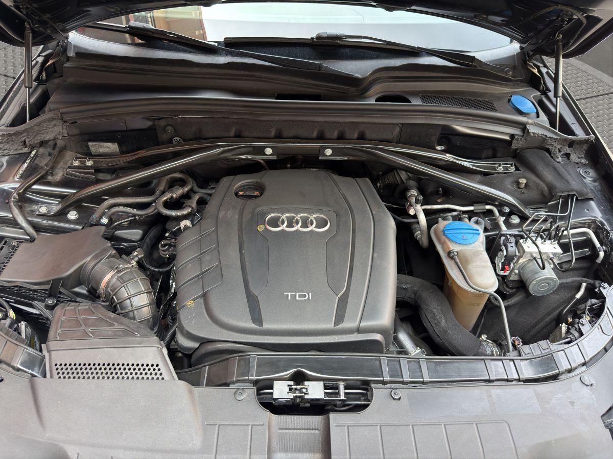 AUDI - Q5 - 2.0 TDI 177CV quattro S tr. Adv.Plus S LINE