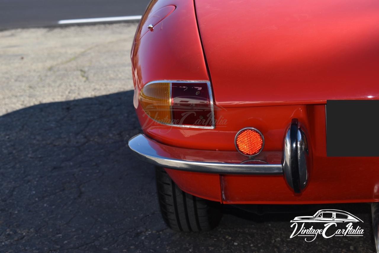 Alfa Romeo Duetto “Osso di Seppia”