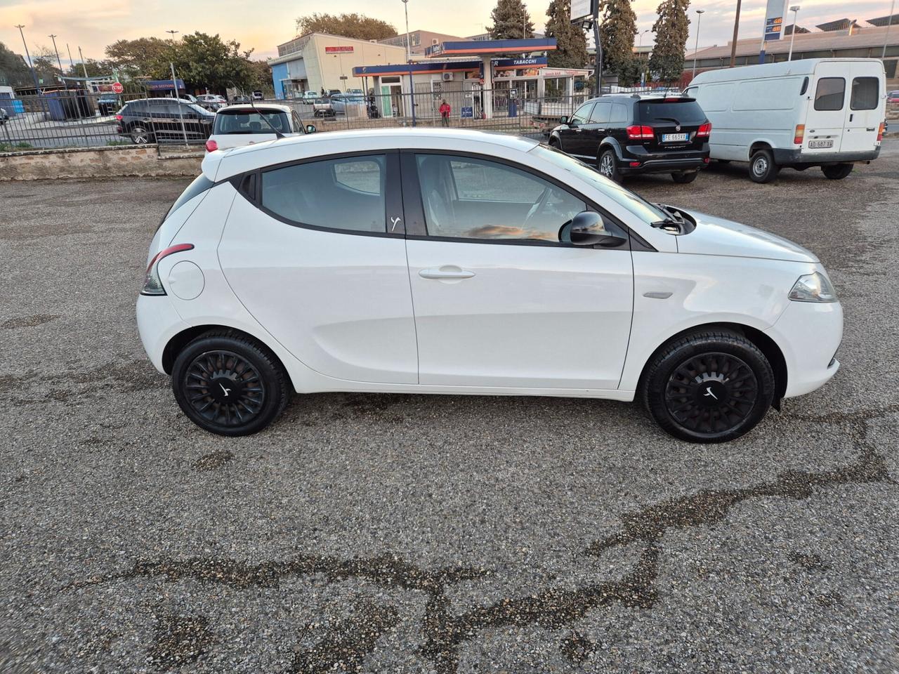Lancia Ypsilon 1.2 69 CV 5 porte Elefantino