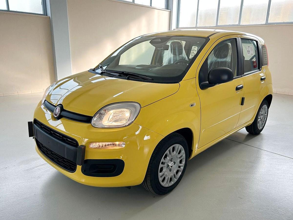 Fiat Panda Pandina 1.0 FireFly 65 CV Hybrid Icon
