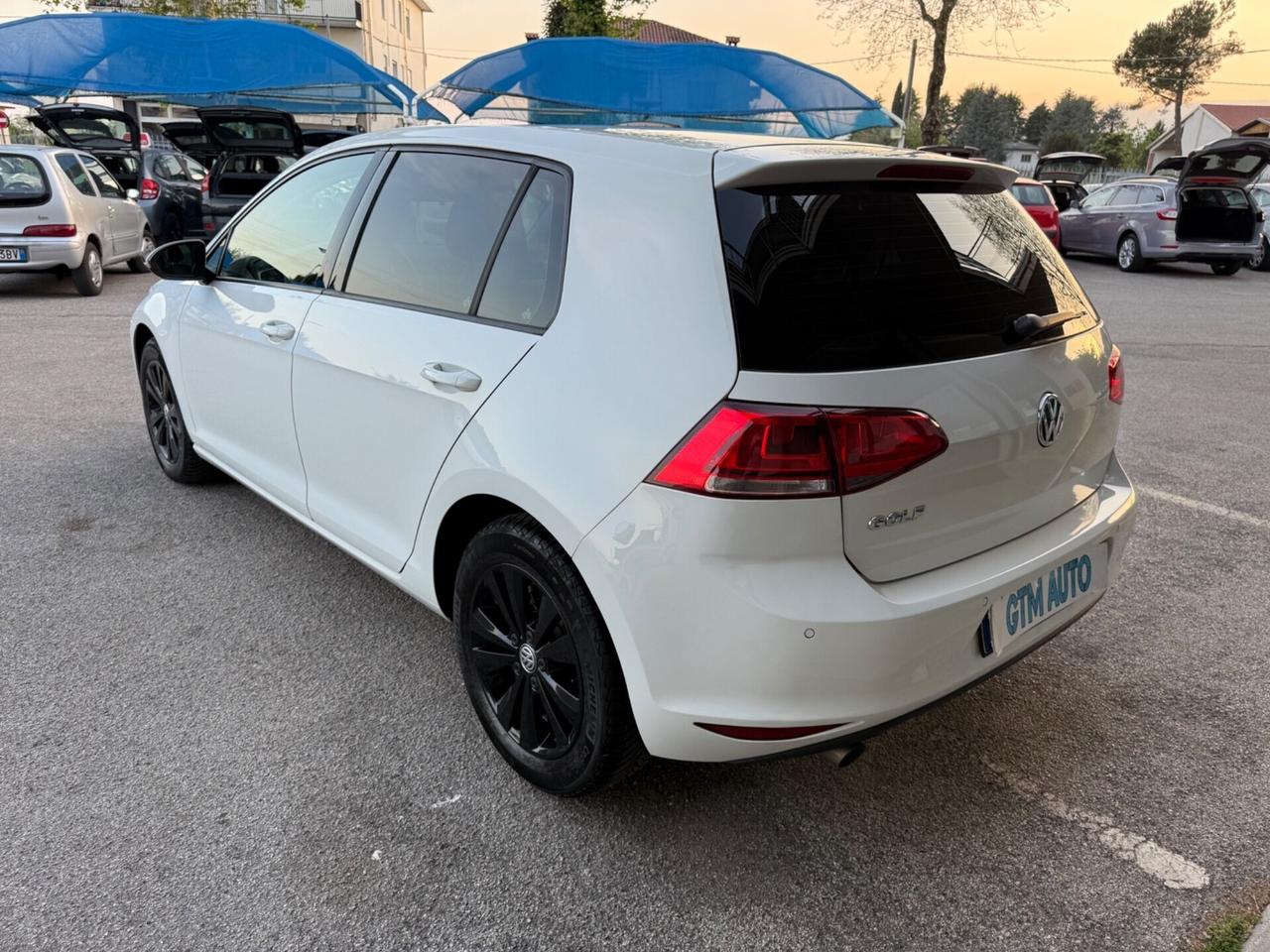 Volkswagen Golf Business 1.6 TDI 5p. 110cv