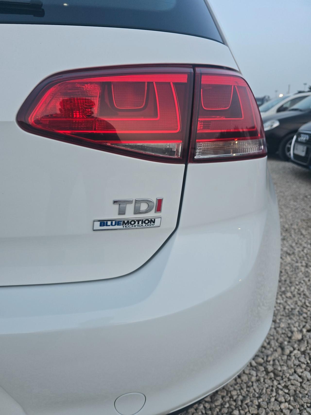 Volkswagen Golf 1.6 TDI 110 CV 5p. Business BlueMotion Technology