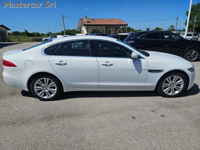 JAGUAR XF XF II Berlina 2.0d i4 Prestige 180cv Auto- FY003SZ