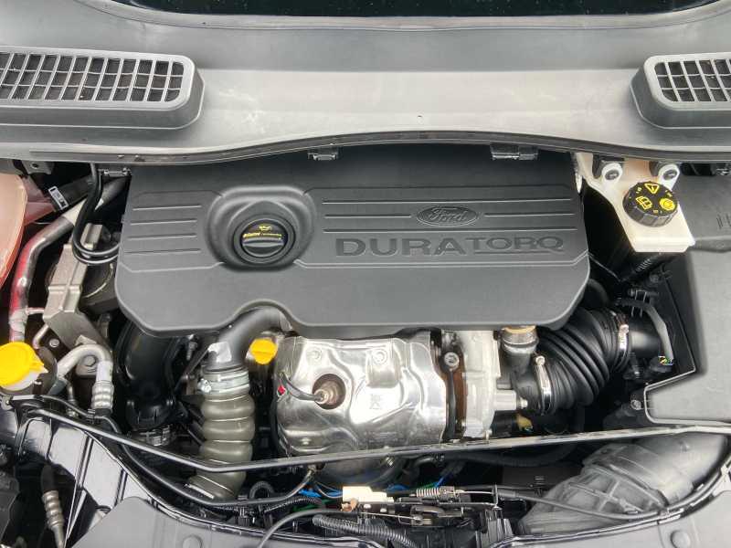 FORD Kuga 1.5 tdci Plus s&s 2wd 120cv
