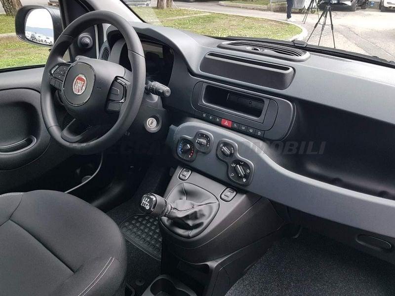 FIAT Panda Panda 1.0 firefly hybrid s&s 70cv