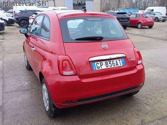 FIAT 500 NEOPATENTATI 500 1.0 hybrid 70cv TG : GP836AT