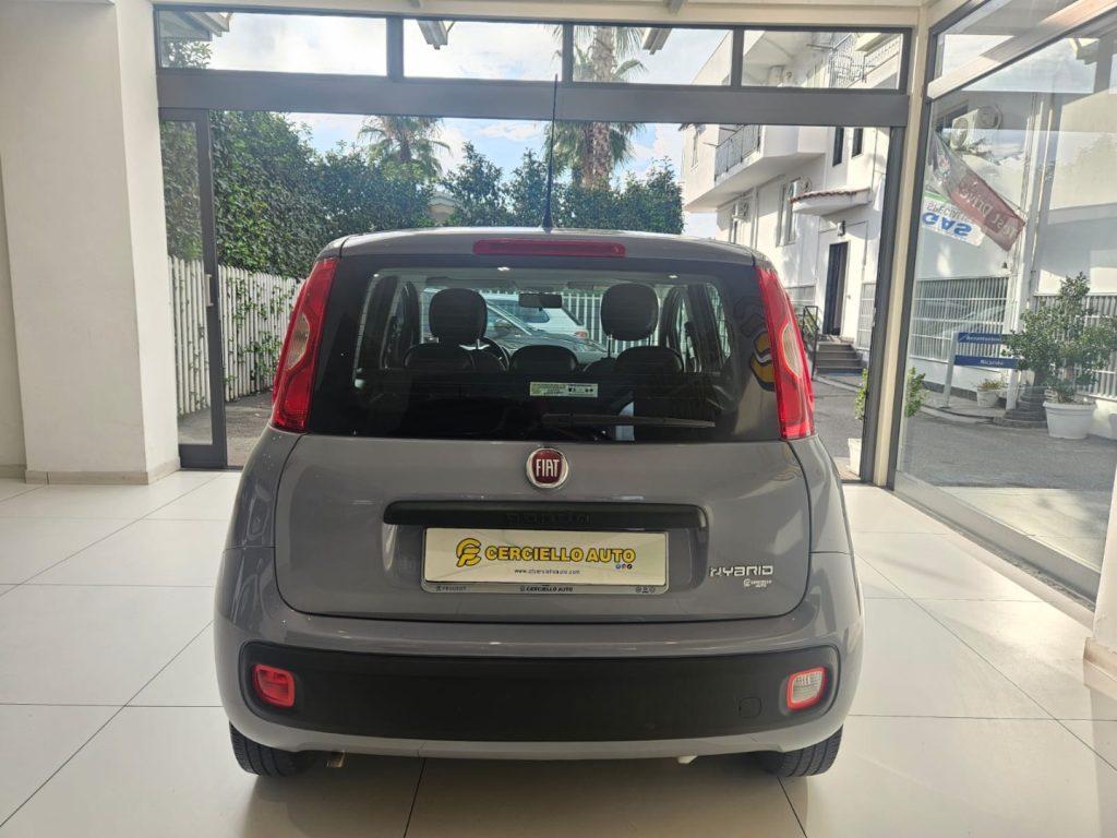 Fiat Panda 1.0 FireFly S&S Hybrid da €119,00 mensili