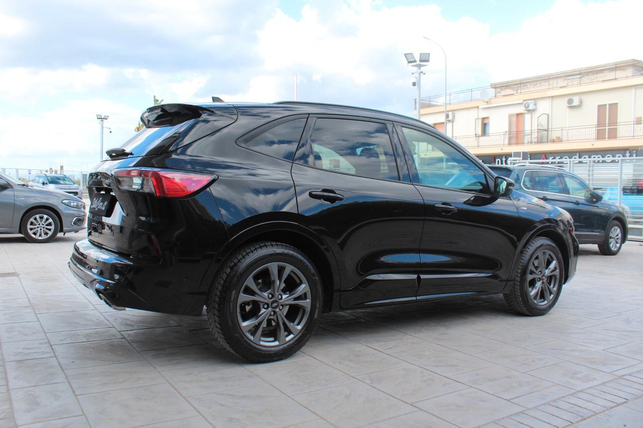 Ford Kuga 1.5 EcoBlue 120 CV aut. 2WD ST-Line X