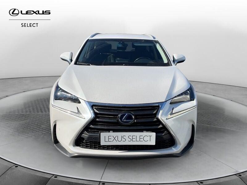 Lexus NX NX Hybrid 4WD Executive