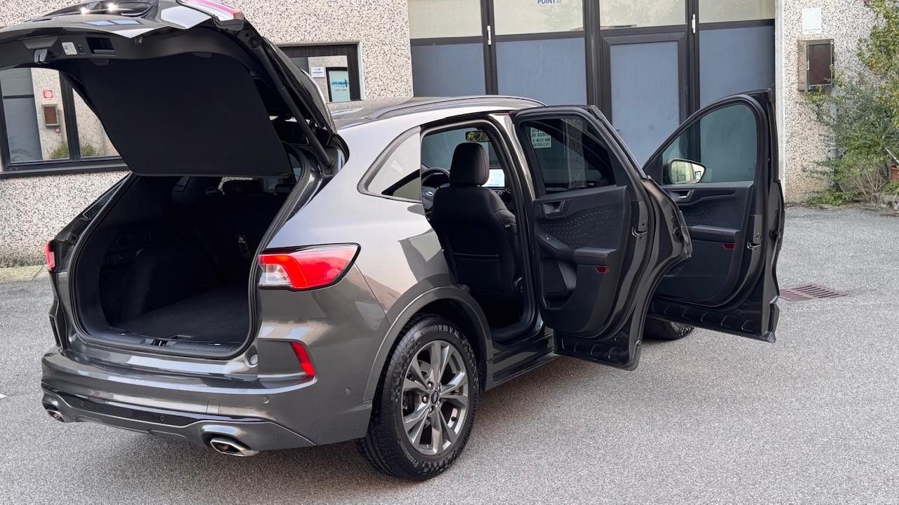 Ford Kuga 2.0 EcoBlue 190 CV aut. AWD ST-Line X