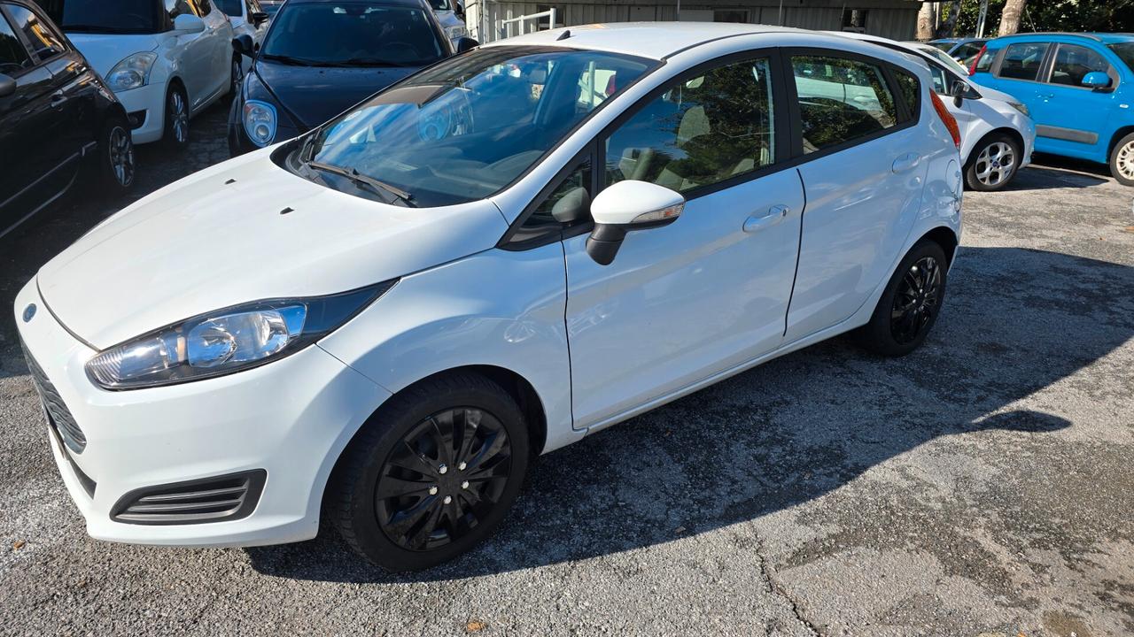 Ford Fiesta 1.5 TDCi 75CV 5 porte Black & White Edition