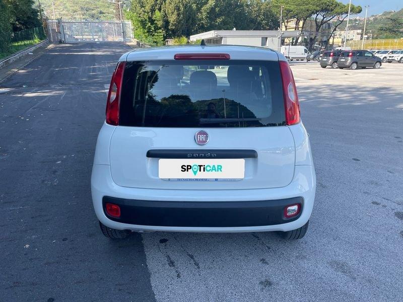 FIAT Panda 1.2 69cv E6 Easy