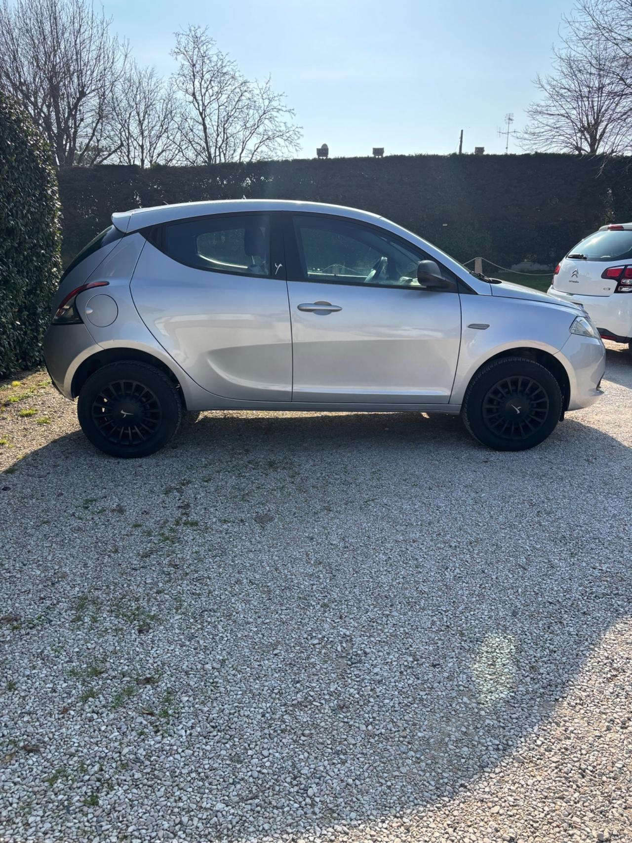 Lancia Ypsilon 0.9 TwinAir 85 CV 5 porte Metano Ecochic Elefantino