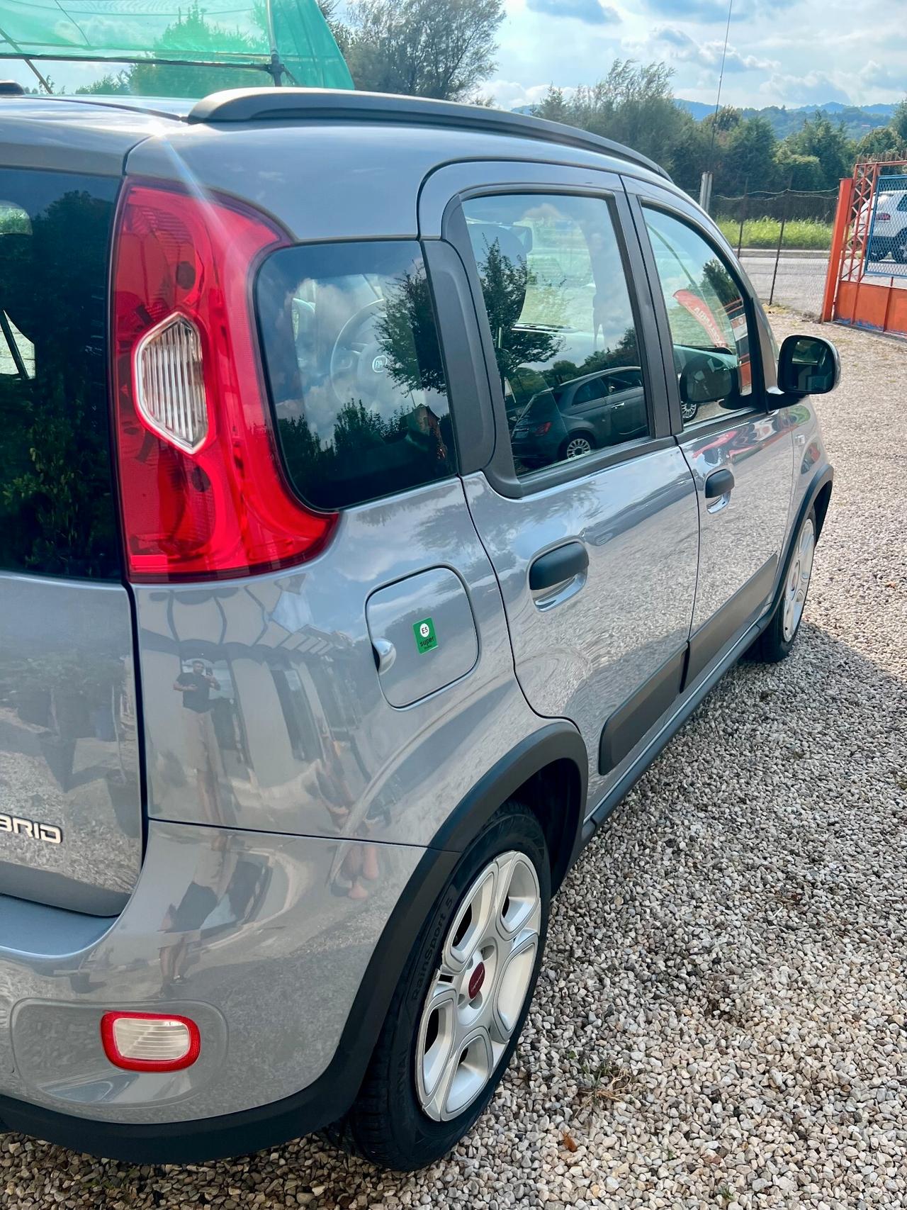 Fiat Panda 1.0 FireFly S&S Hybrid