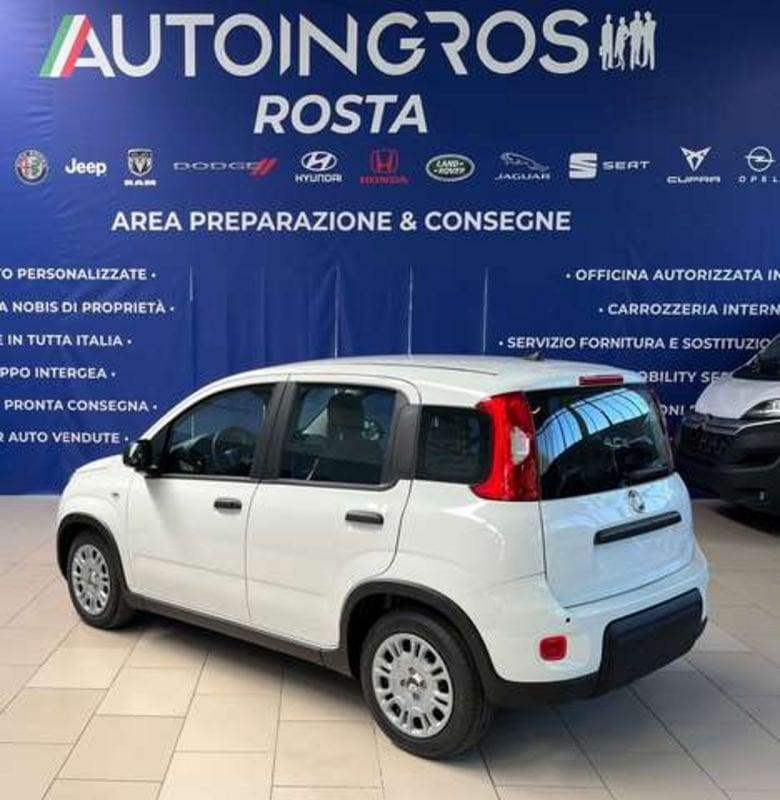 FIAT Panda 1.0 hybrid 70CV MY25 NUOVA DA IMMATRICOLARE