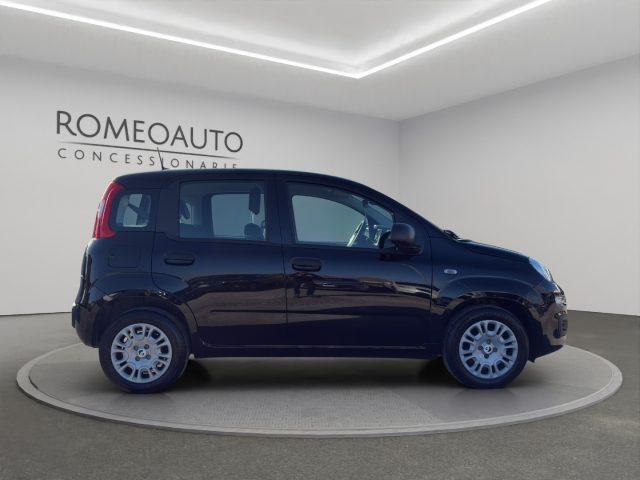 FIAT Panda 1.0 Hybrid 70cv 5 posti