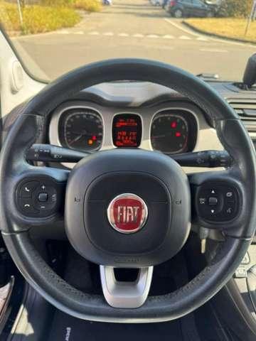 Fiat Panda 4x4CROSS AUTOGEPY SASSUOLO 05361881051
