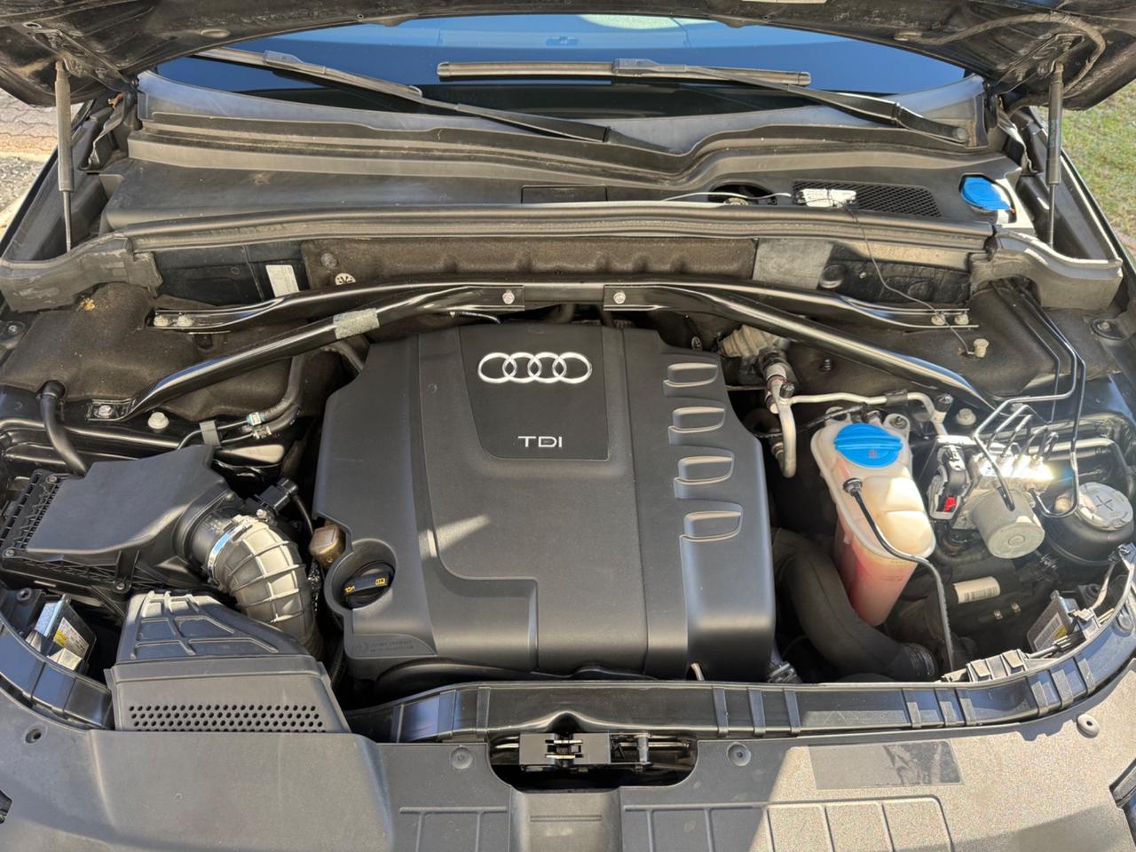 Audi Q5 2.0 TDI 170 CV quattro S-Line Plus