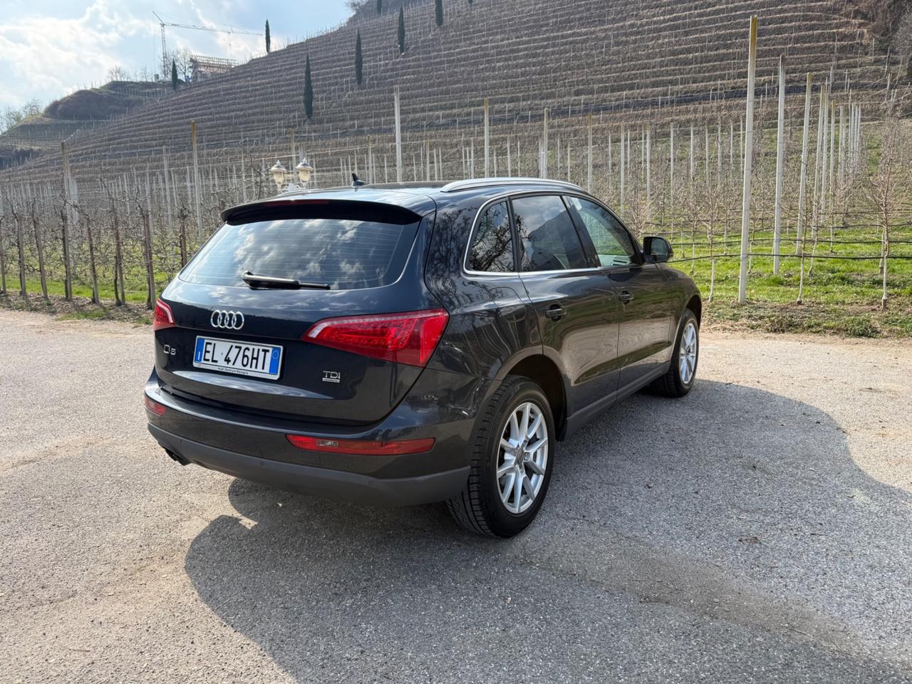 Audi Q5 2.0 TDI 170 CV quattro S tronic Advanced Plus