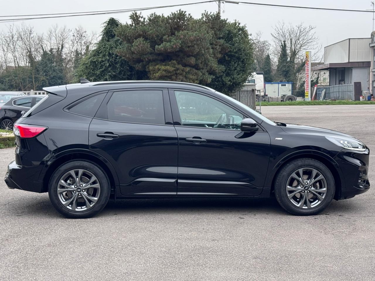 Ford Kuga 2.0 EcoBlue Hybrid 150 CV 2WD ST-Line