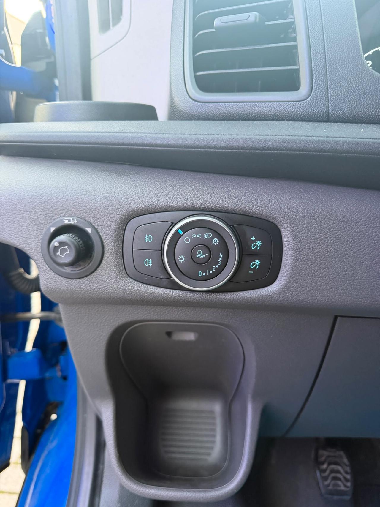 Ford Transit 290 2.0 TDCi EcoBlue PM-TM Furgone Trend