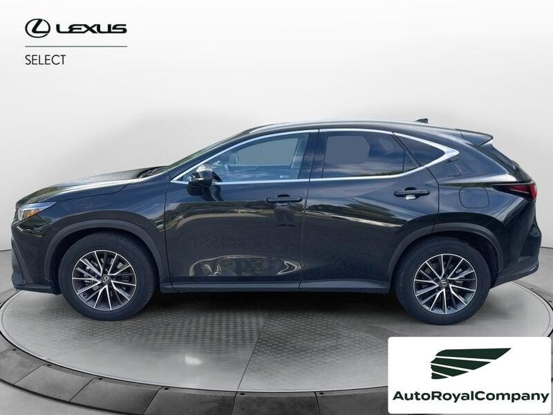 Lexus NX NX Hybrid 4WD Premium