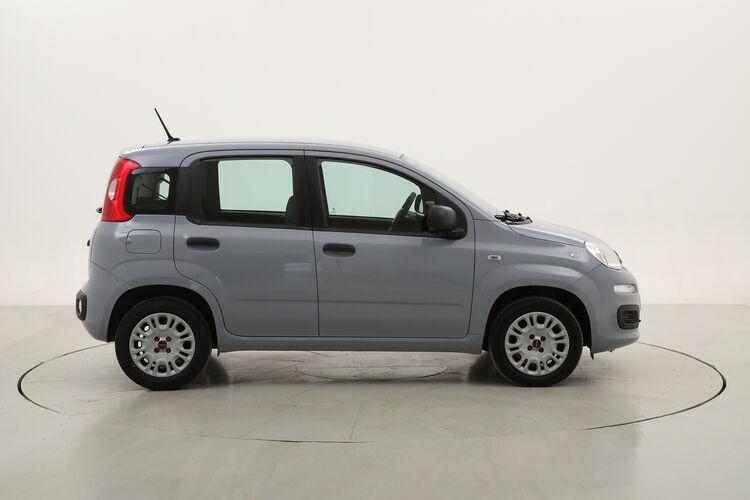 Fiat Panda Easy BR309703 1.2 Benzina 69CV