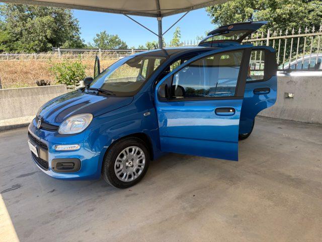 FIAT Pandina 1.0 FireFly 65 CV Hybrid Icon COME NUOVA