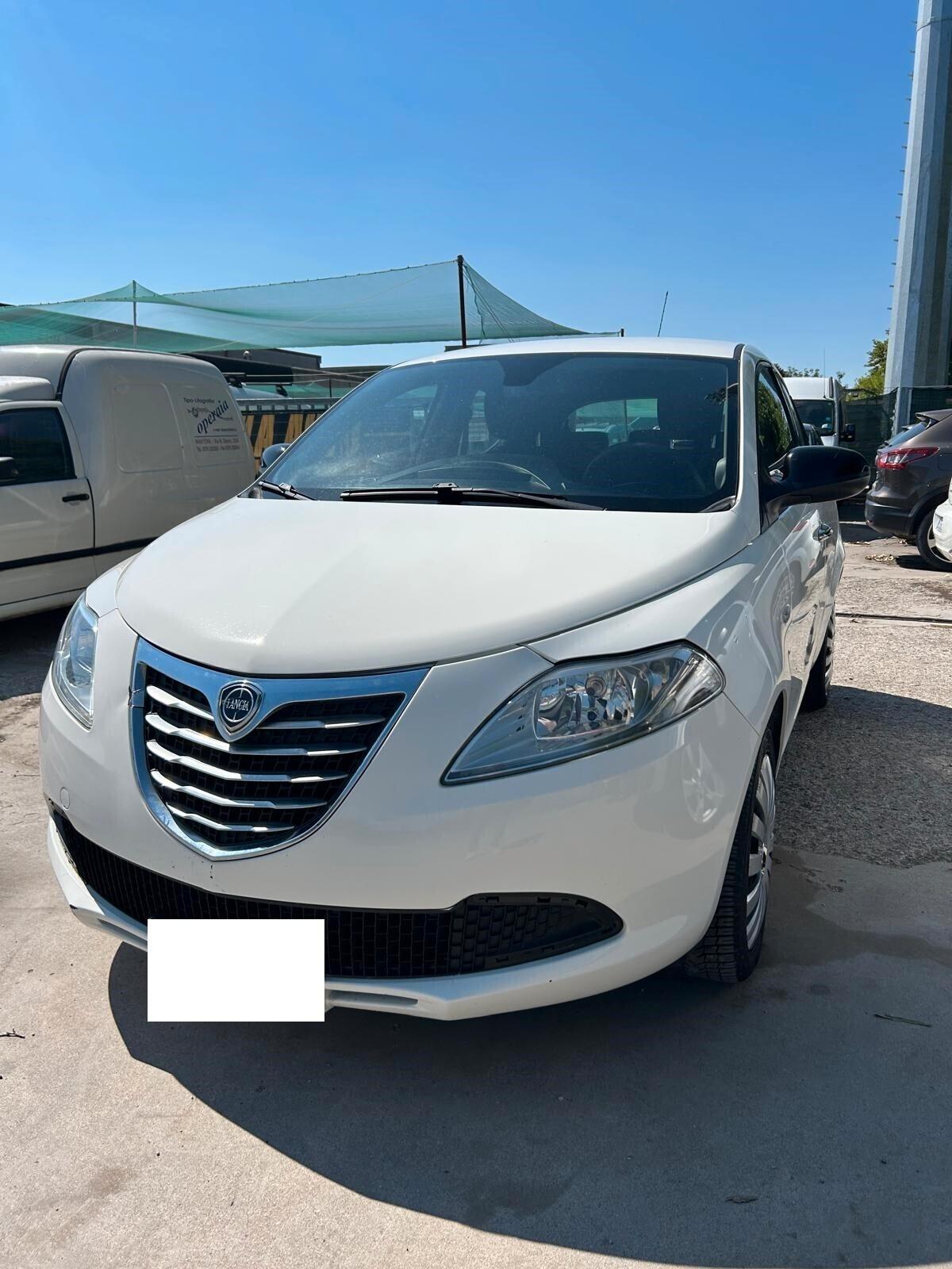 Lancia Ypsilon 1.3 MJT 16V 95 CV 5 porte S&S Elle ok neo patentati