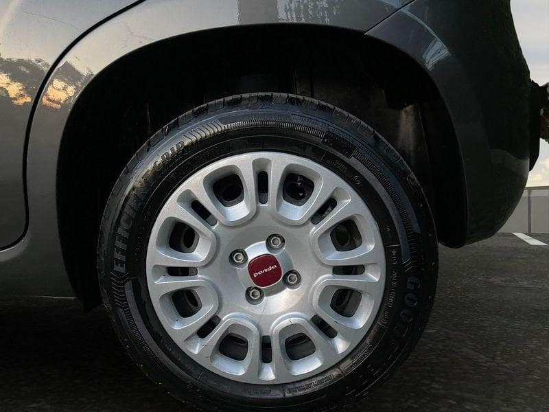 FIAT Panda 1.0 70 cv Hybrid 20.000 KM (05-24)