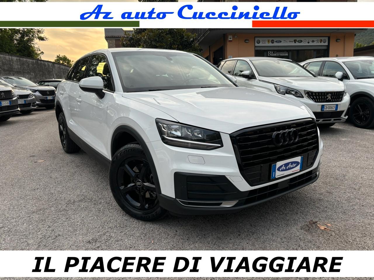Audi Q2 30 TDI 116 CV S tronic Admired