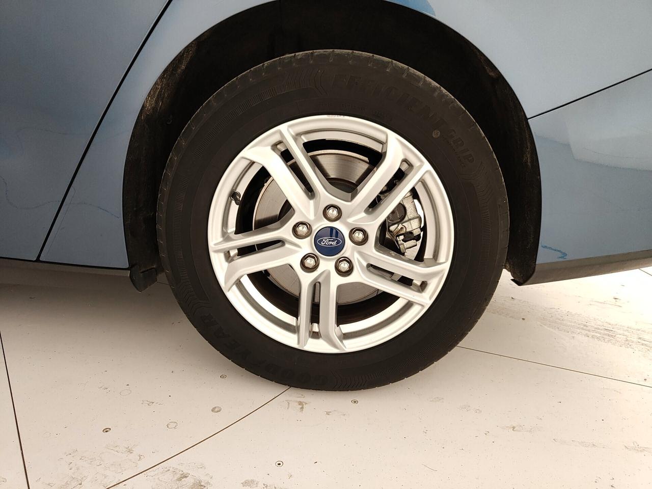 Ford Focus 1.5 EcoBlue 120 CV automatico SW Business Co-Pilot
