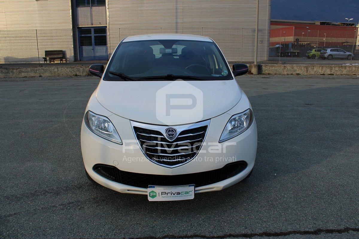 LANCIA Ypsilon 1.2 69 CV 5 porte Elefantino