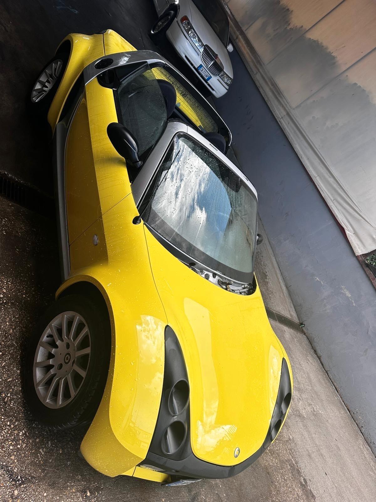 Smart Roadster 700 (45 kw) pulse clima