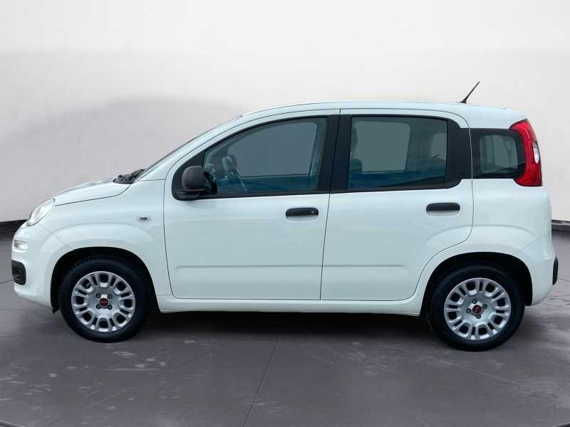 FIAT Panda 1.2 Easy s&s 69cv