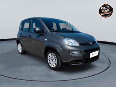Fiat Panda 1.0 FireFly S&S Hybrid Km 25600